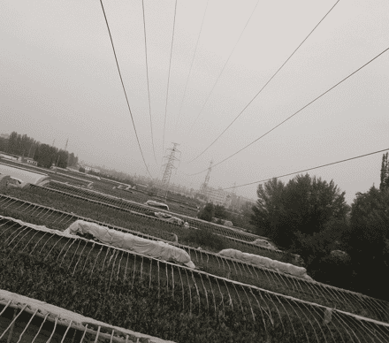 高清智能視頻/圖像狀態(tài)監(jiān)測裝置，成就指尖上的電網安全保障